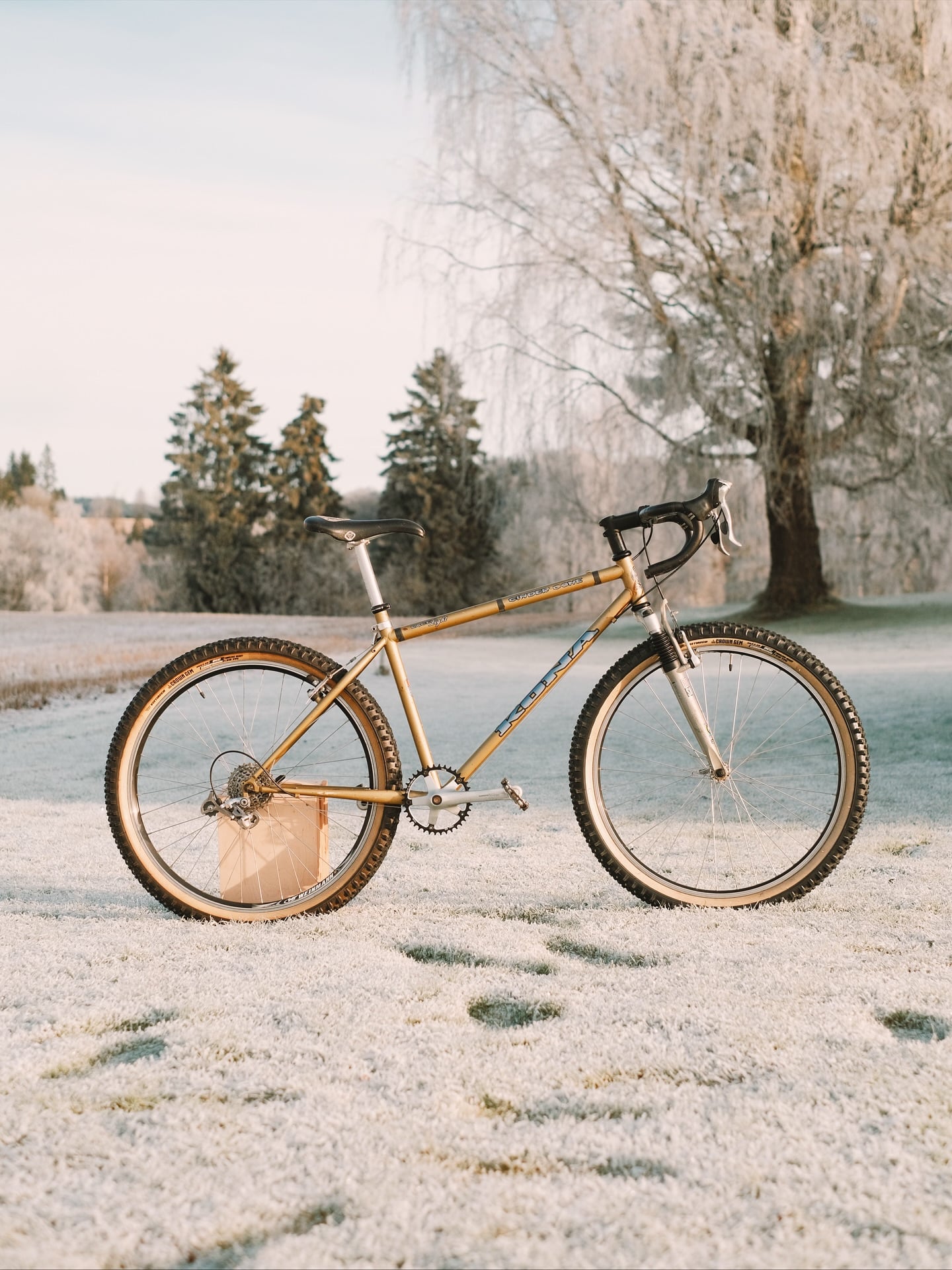 A gold Kona with drop bars and knobby tan-wall tyres, standing on frosted grass with a weeping birch and conifers behind it.