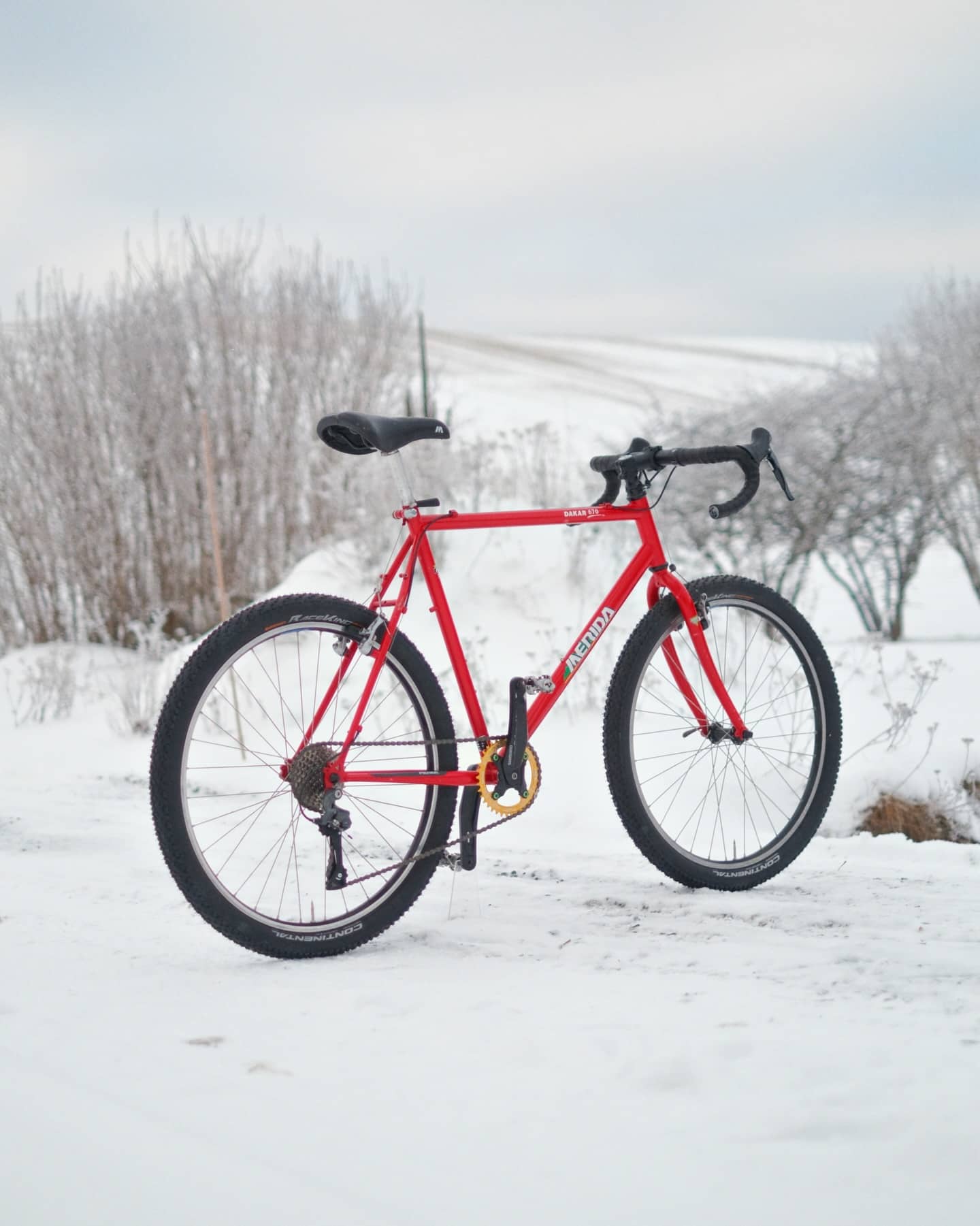 The same bike from the opposite side, standing in snow beside frost-covered scrub.