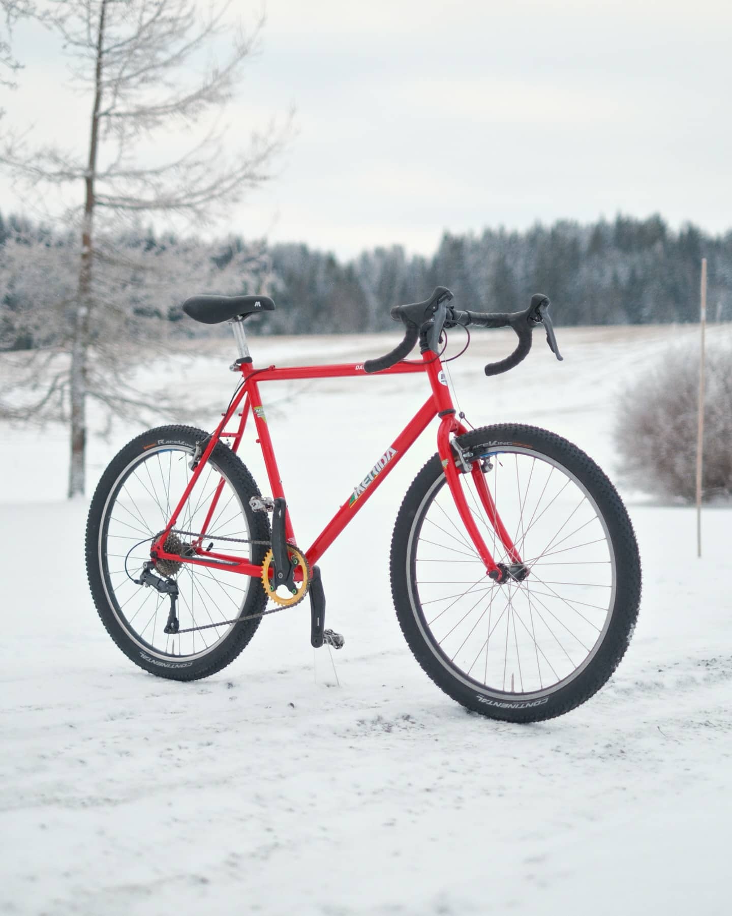 The red Merida seen at an angle from the front, snow-covered field and frosted trees behind it.