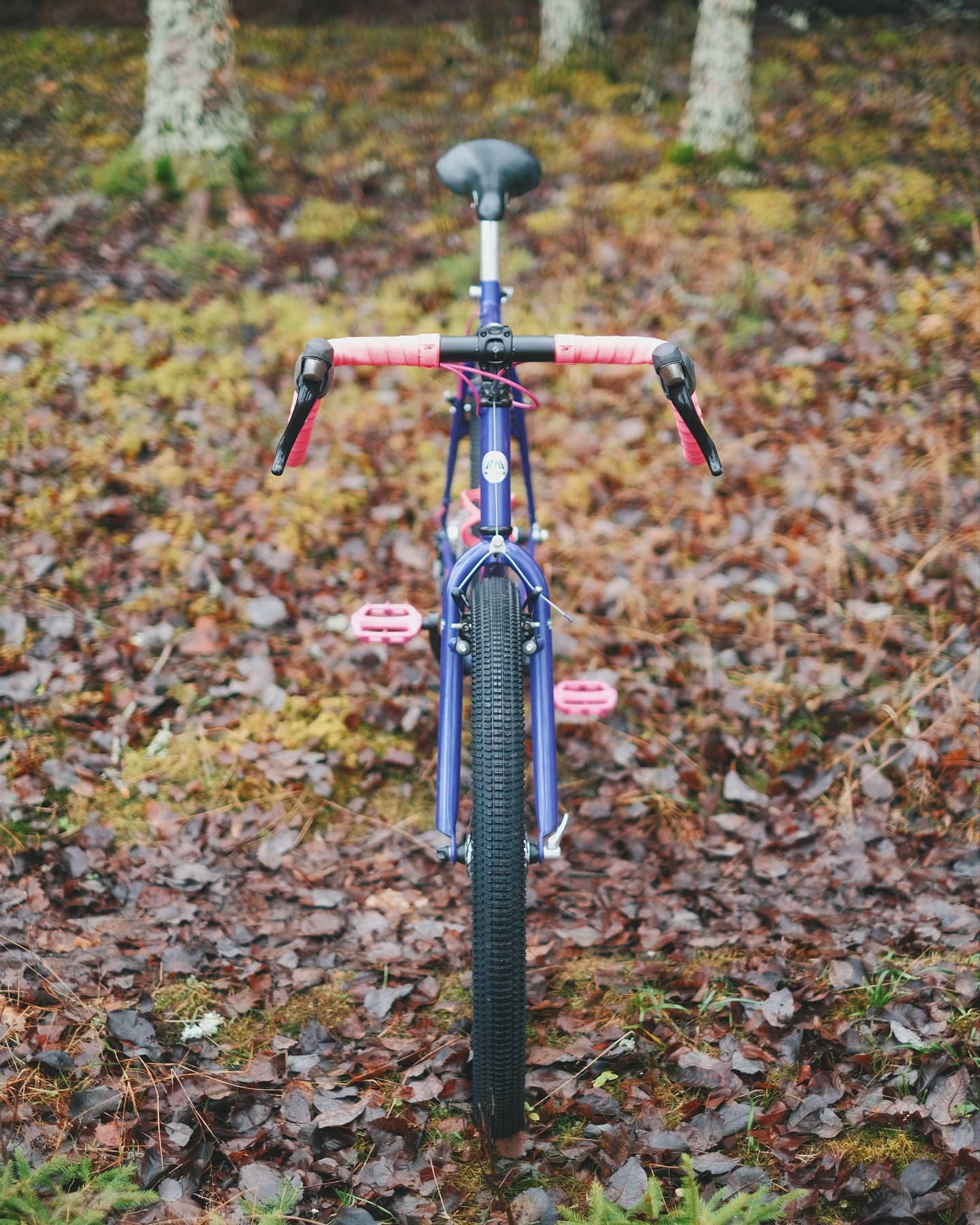 The same bike seen head-on from behind the saddle, showing the drop handlebar, pink tape and pink pedals against the forest floor.