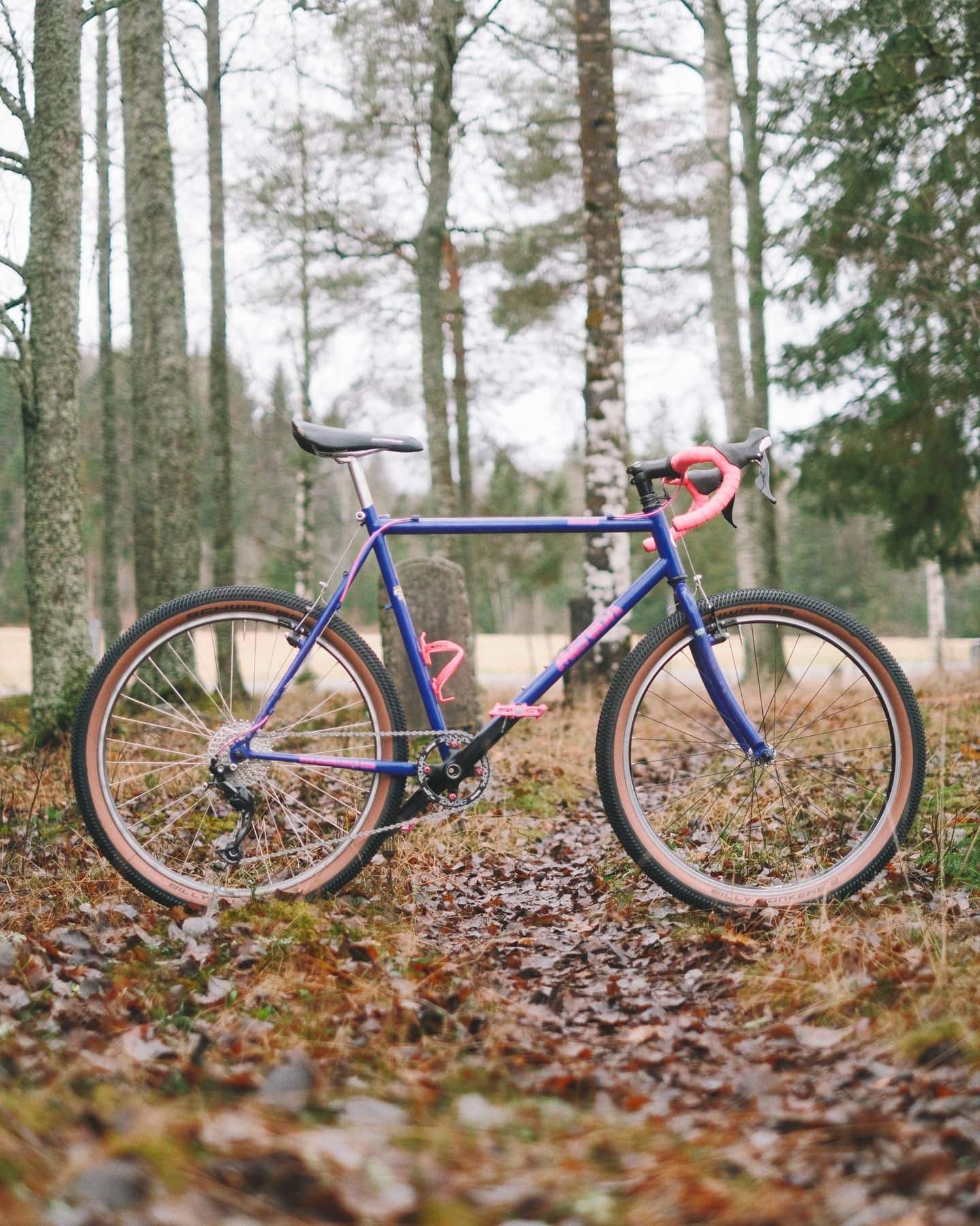 A blue-purple Merida Miami with pink handlebar tape and tan-wall tyres, standing on a leaf-covered forest track between birch trunks.