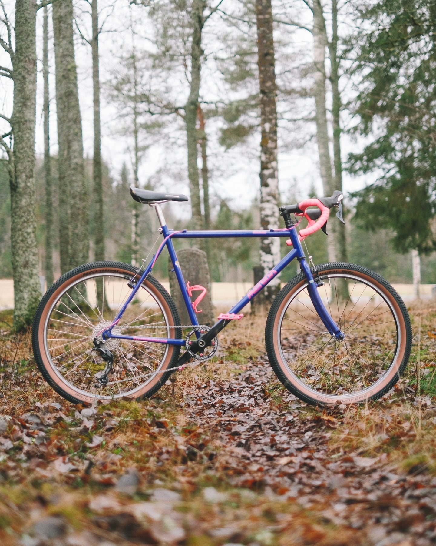 A blue-purple Merida Miami with pink handlebar tape and tan-wall tyres, standing on a leaf-covered forest track between birch trunks.
