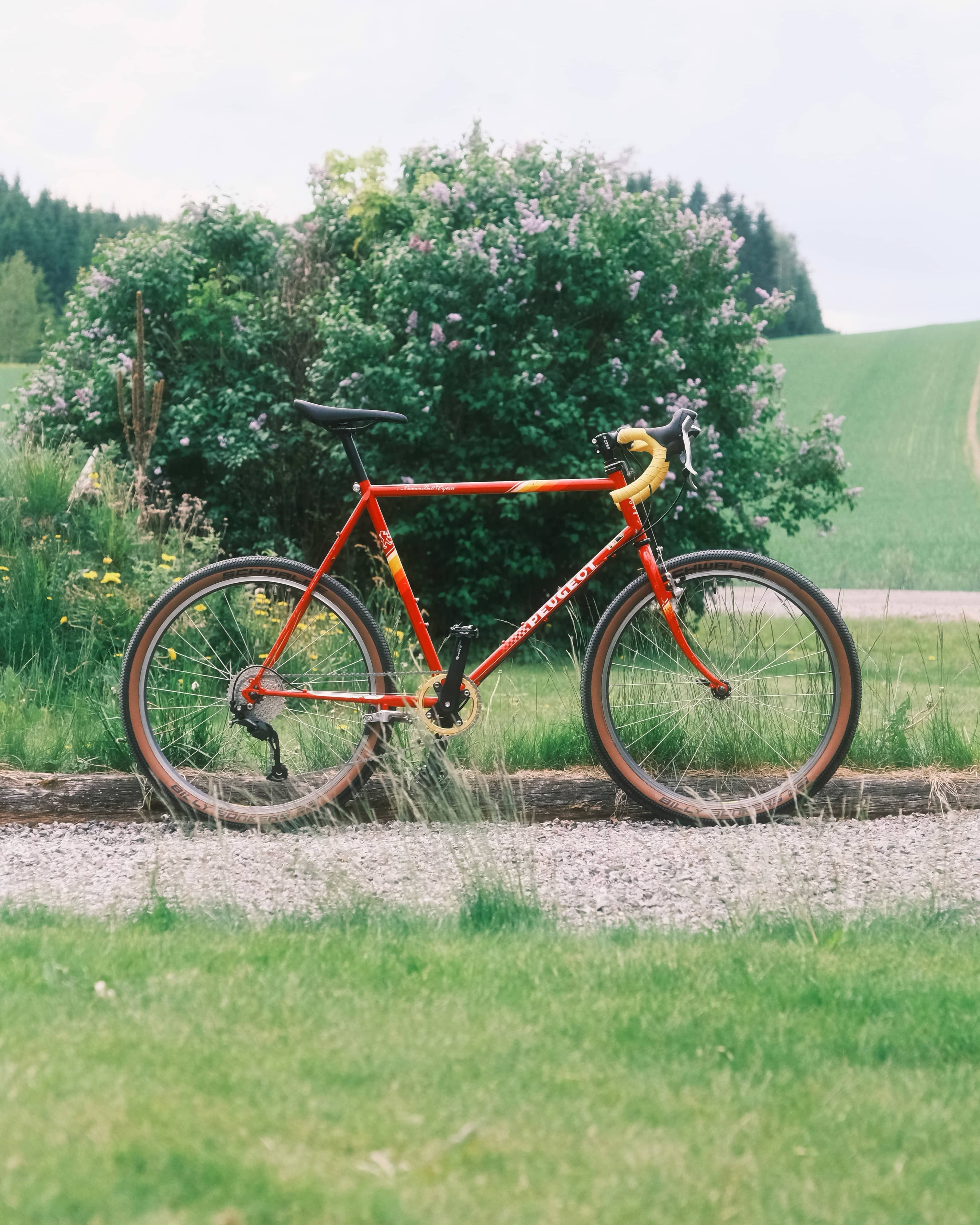 A red-orange Peugeot with yellow bar tape and tan-wall tyres, standing against a green shrub with a grass field rising behind.