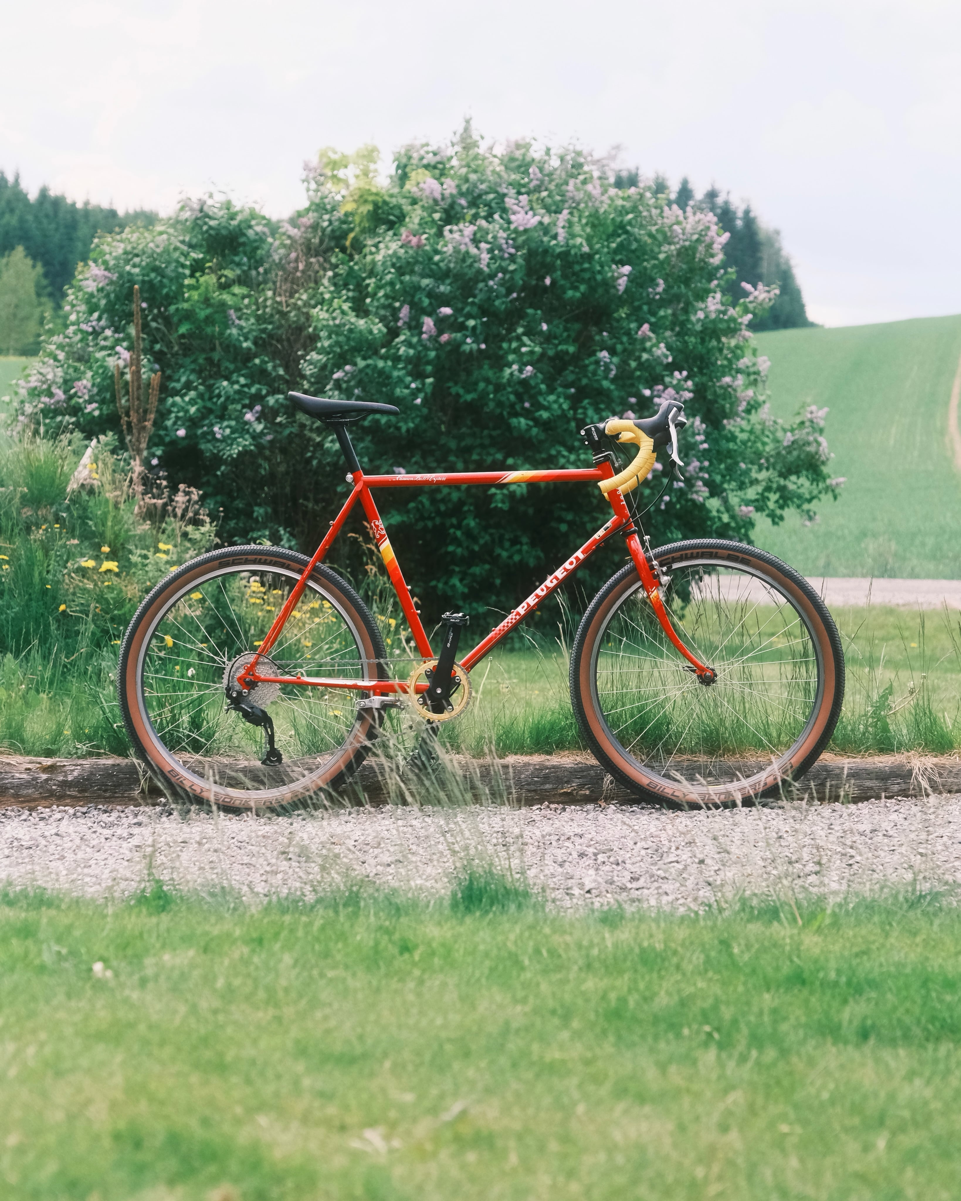 A red-orange Peugeot with yellow bar tape and tan-wall tyres, standing against a green shrub with a grass field rising behind.