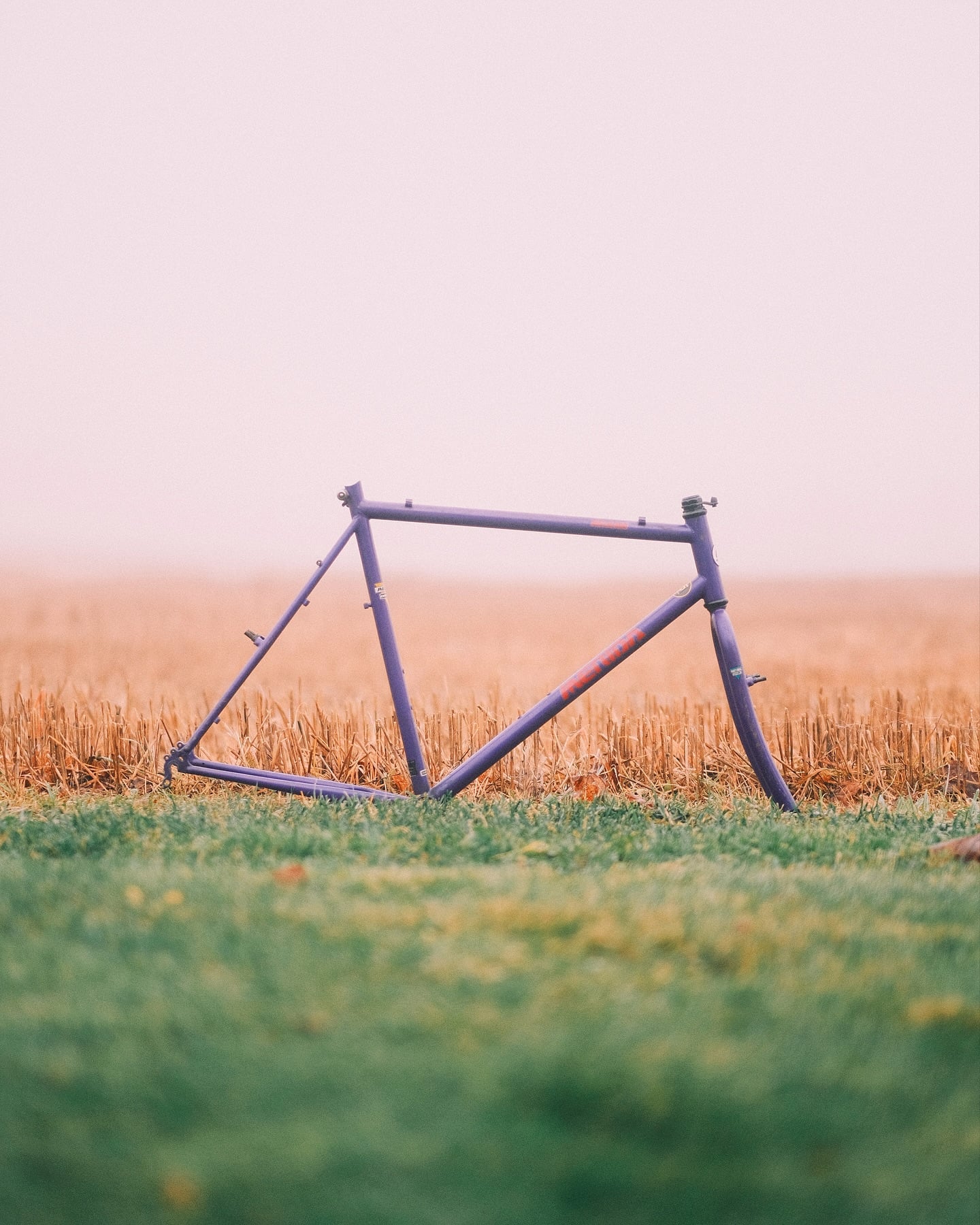 A bare purple steel bicycle frame and fork standing upright in a cut stubble field, fog closing in behind it.