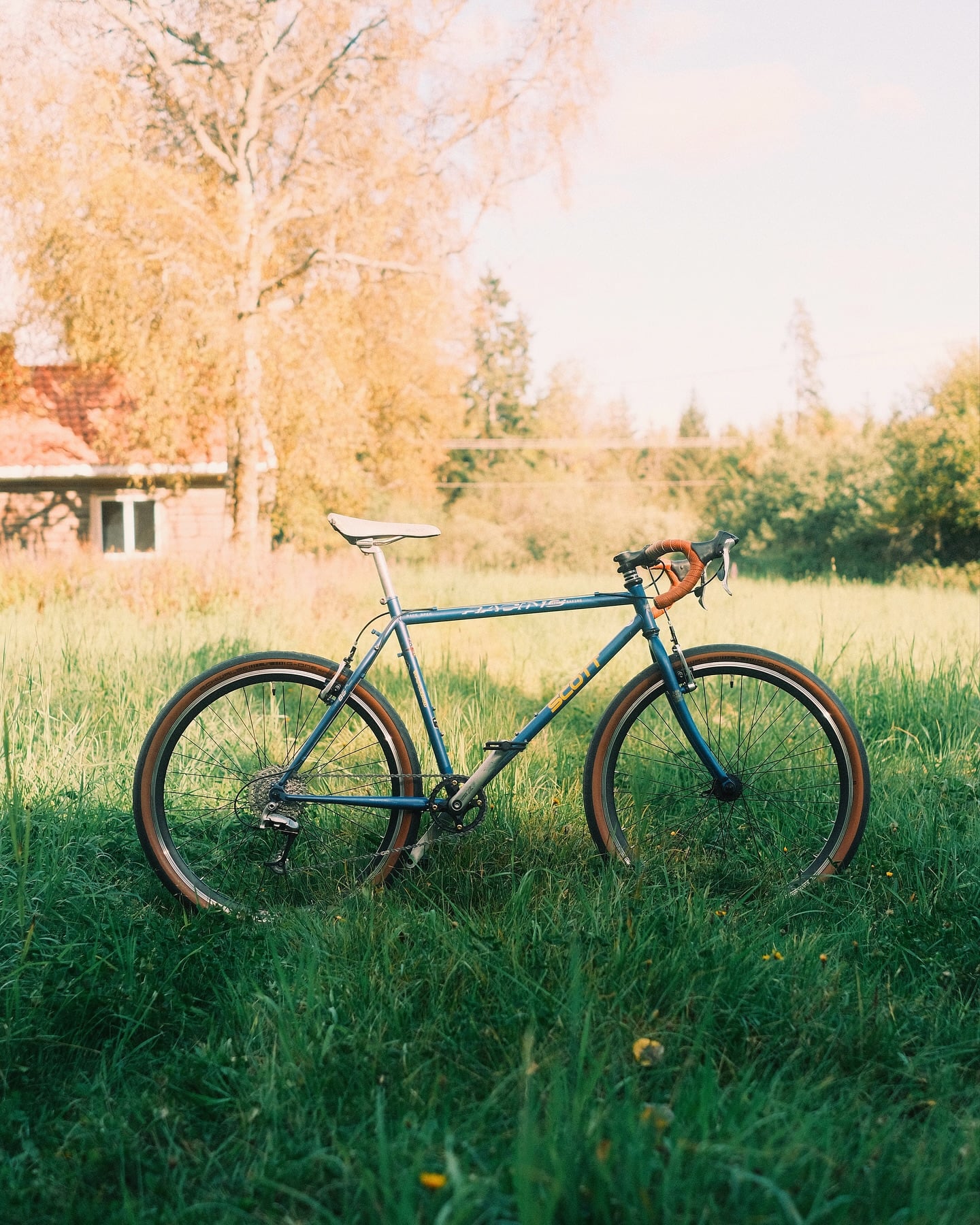 The same teal Scott Racing built up with knobby tyres and pale bar tape, standing in long grass with birches and a red house behind.