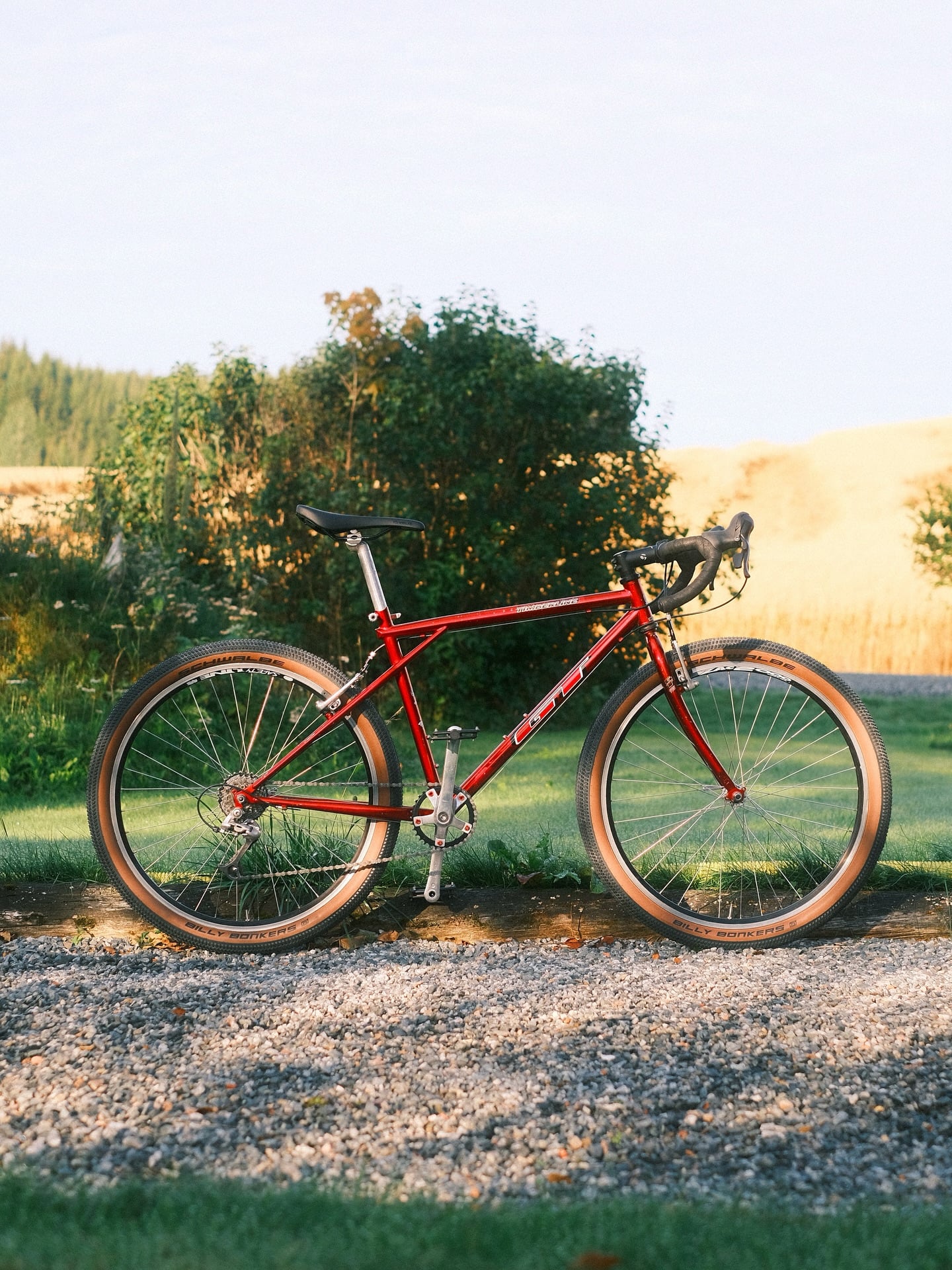 A red Scott with drop bars and tan-wall knobby tyres, on a gravel drive with a hedge and a golden field behind it in low sun.